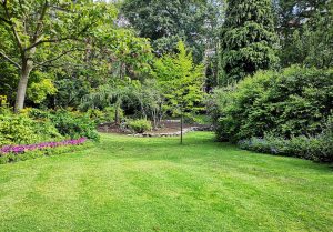 Optimiser l'expérience du jardin à Breuil-Barret